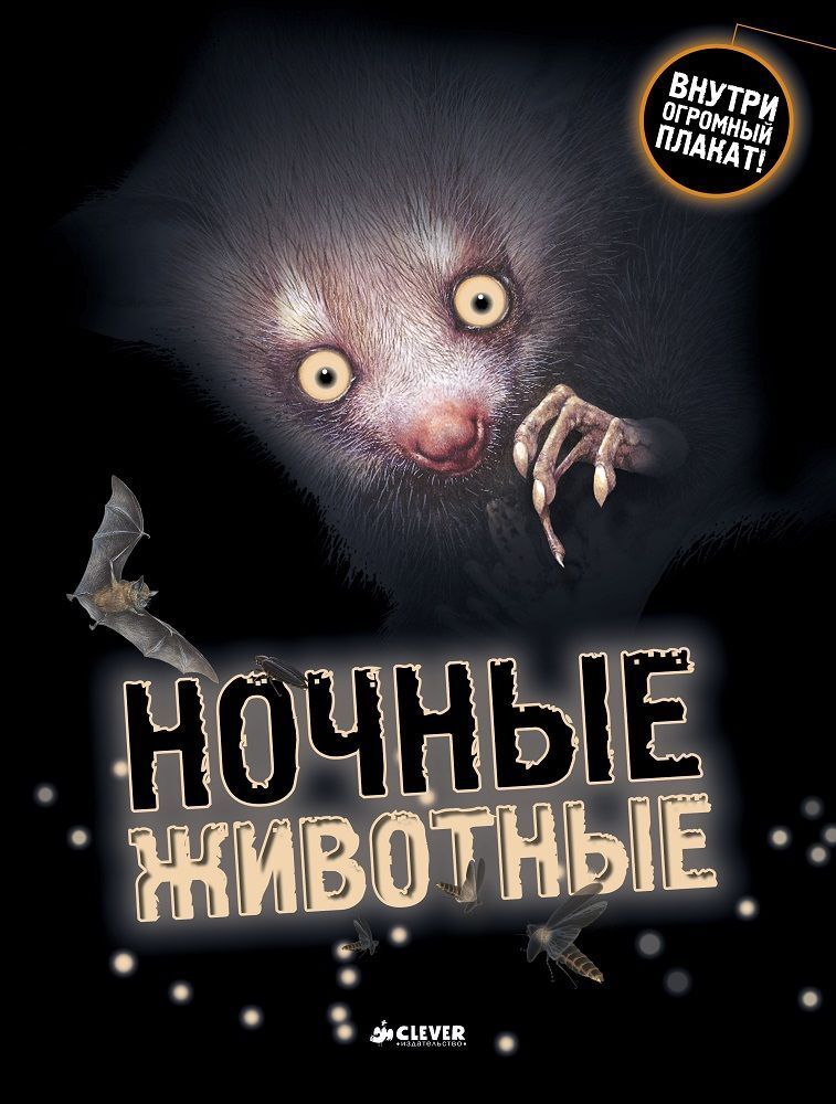 Ночные животные