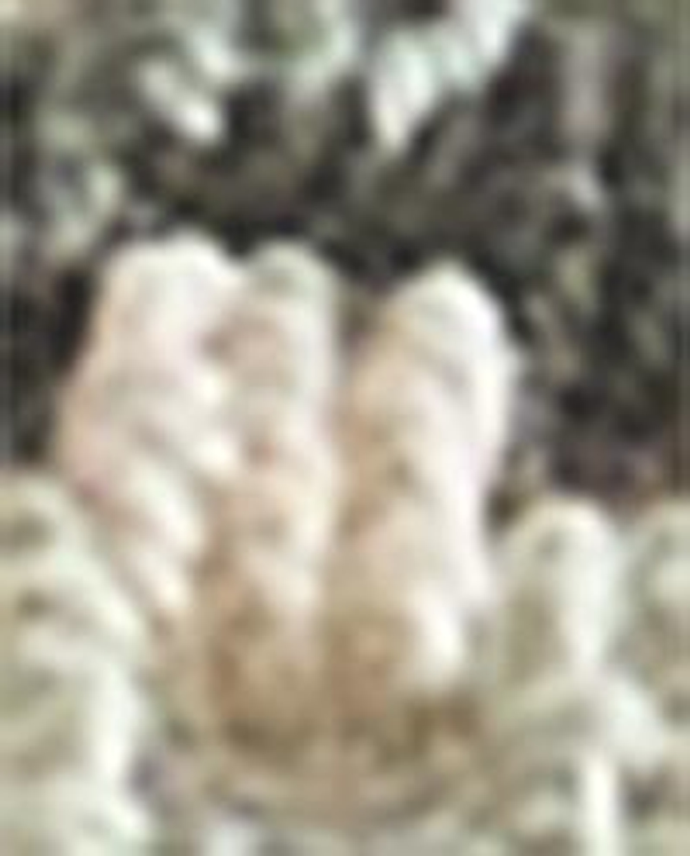 Zara Home Полотенце для лица и рук из хлопка, wielokolorowy · 1525/013