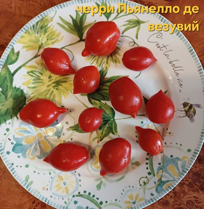 ЧЕРРИ ПЬЯНЕЛЛО ДЕ ВЕЗУВИЙ