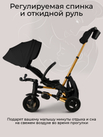 Велосипед трехколесный Qplay S700-17 RIDER SL Black (Rub/Gold)