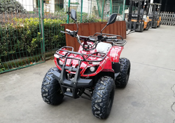 Электроквадроцикл GreenCamel Атакама T320