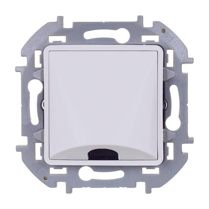 Вывод кабеля IP21 с зажимом для крепления - белый Inspiria Legrand