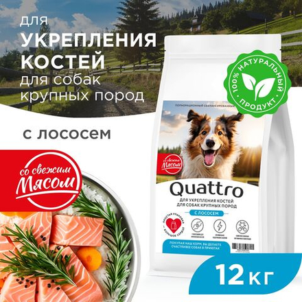 Корм сухой для взрослых собак крупных пород, премиум полнорационный комплекс, для укрепления костей у собак, с лососем, 12 кг, QUATTRO