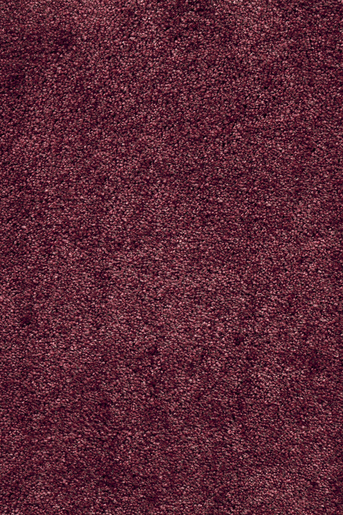 Ковровое покрытие AW Leda 19