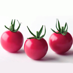 РИАННА F1 семена томата (Sakata | Alexagro)