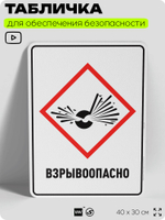 Табличка для обеспечения безопасности "Взрывоопасно", для производства, предприятия, организаций, 40х30 см, Silver Plane x Айдентика Технолоджи