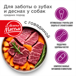Корм сухой для взрослых собак средних пород, премиум полнорационный комплекс, забота о зубах и деснах, с говядиной, 12 кг, QUATTRO