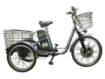 Трехколесный электровелосипед E-motions KANGOO-RU 750