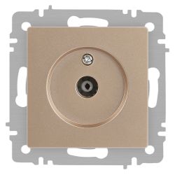 Розетка Intro Accent 6-301-04 TV одиночная, IP20, СУ, шампань | Intro