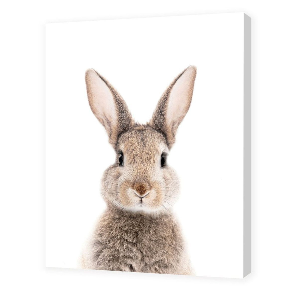 Картина холст, 48х39 см, H-1602H