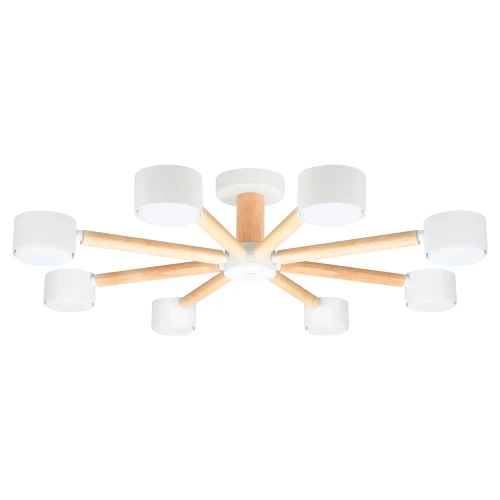 Потолочная люстра Arte Lamp TENDA A1624PL-8WH