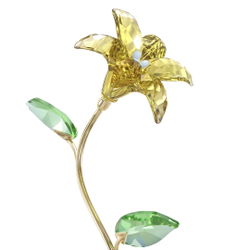 FLORERE:LILY