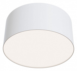 Накладной светильник Maytoni Technical C032CL-L12W4K