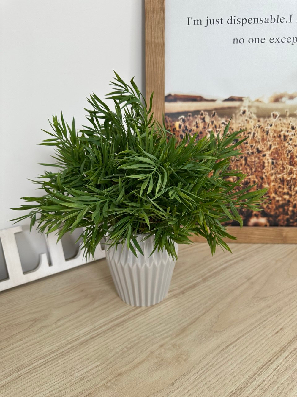 Куст тархуна в серой вазе, в-37 см