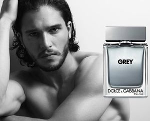 Dolce and Gabbana The One Grey