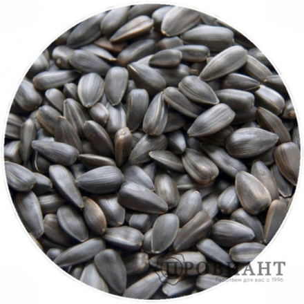 Семечки жареные вес (4385)