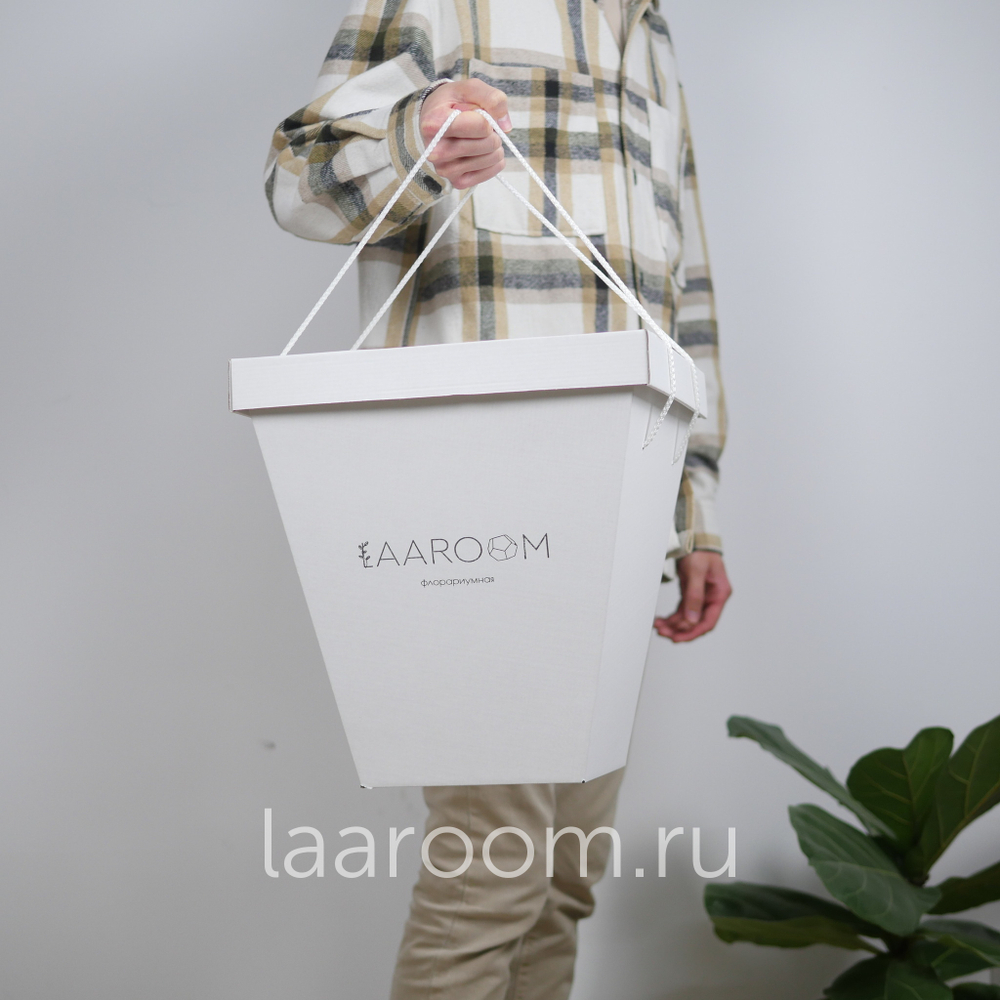 Флорариум с суккулентами Laaroom Икос