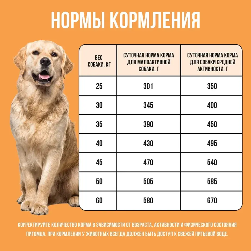 Сухой корм для собак крупных пород с индейкой, курицей, тыквой BOWL WOW 10кг