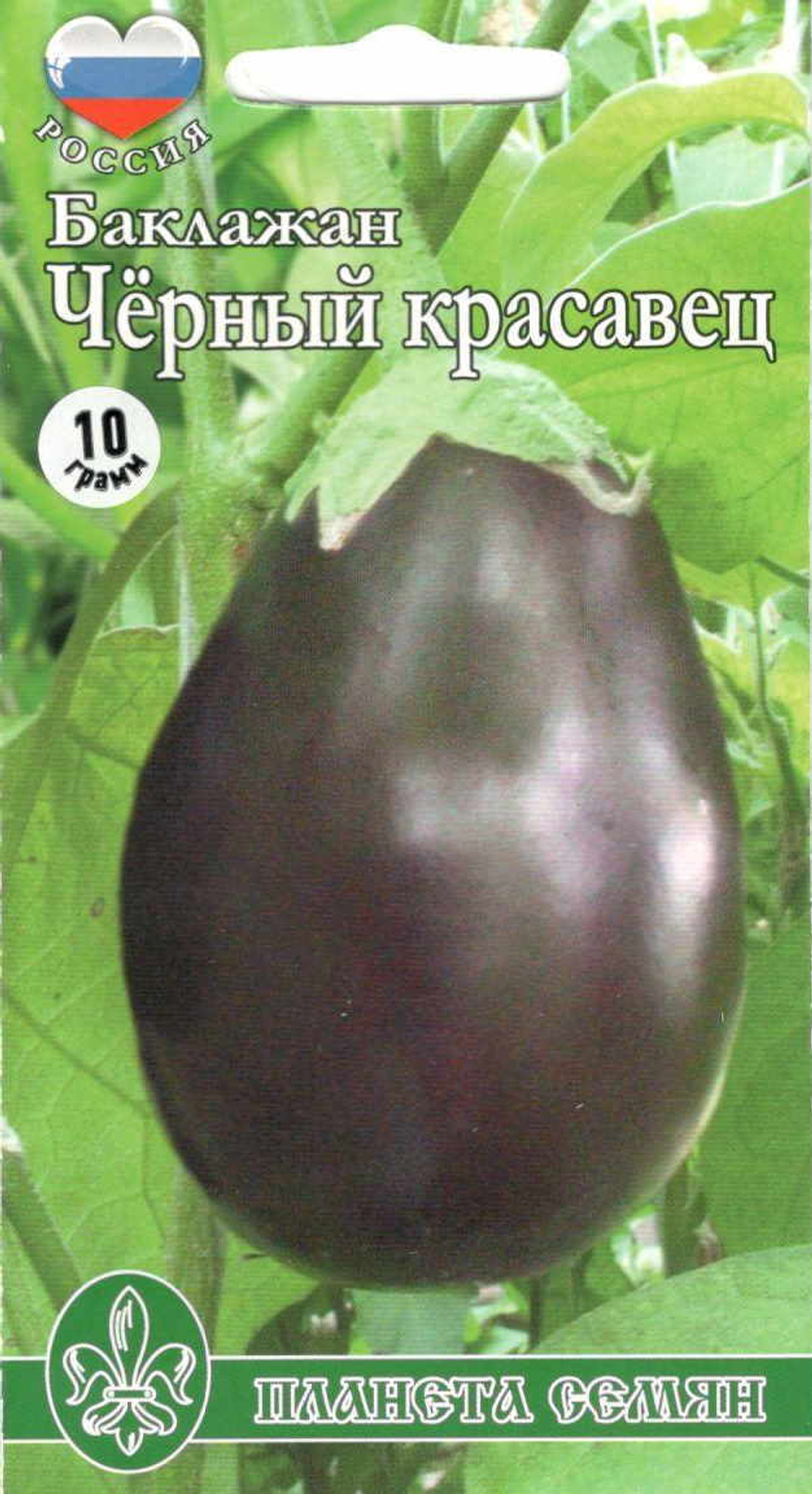 Баклажан Черный красавец