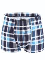 Мужские хлопковые трусы-боксеры в клетку (Размер: L) (Цвет: синий с голубым)