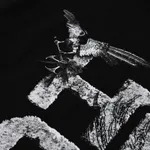 Футболка Heartz «Fairies» Черная