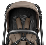 Коляска Peg Perego Veloce New Belvedere 2 в 1 Pine Bark