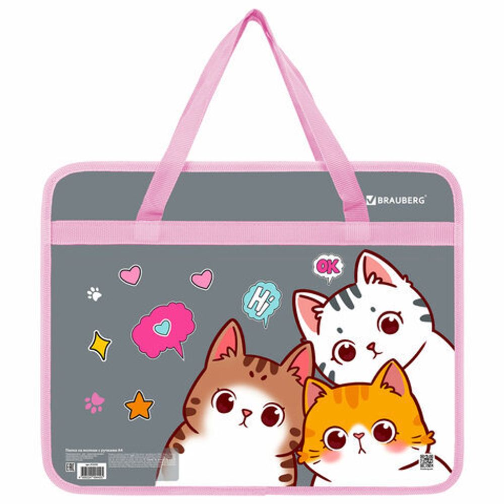 Папка на молнии с ручками BRAUBERG А4, 1 отделение, пластик, 80 мм, "Hi there", 273370