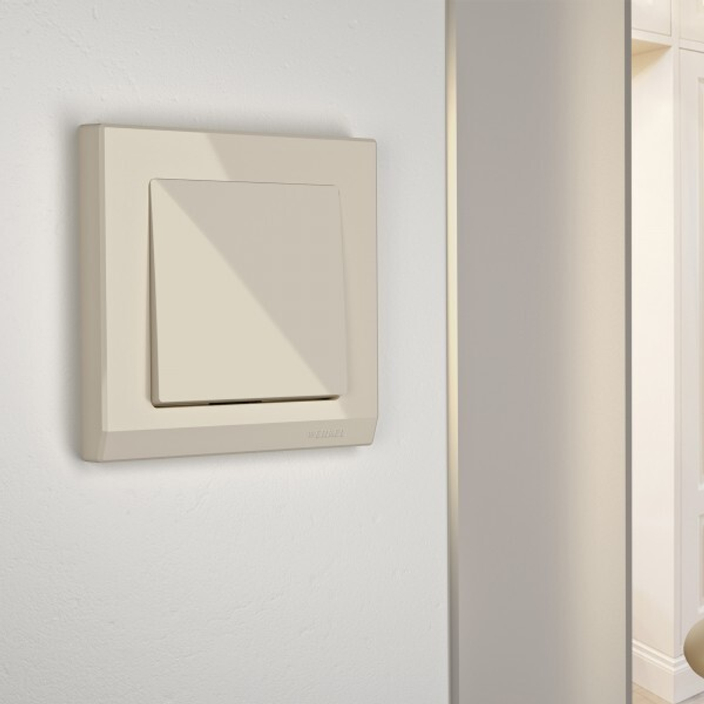 Выключатель одноклавишный (слоновая кость)