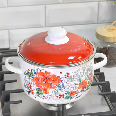 Кастрюля 3л "Амариллис"