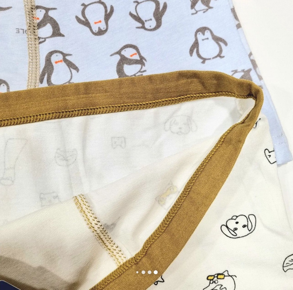 Боксер МАЛЬЧИК М1602