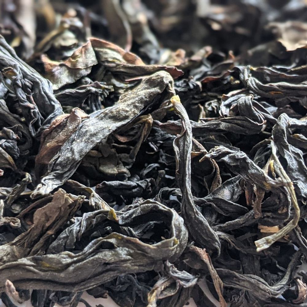 Водяная Черепаха (Шуй Цзинь Гуй)