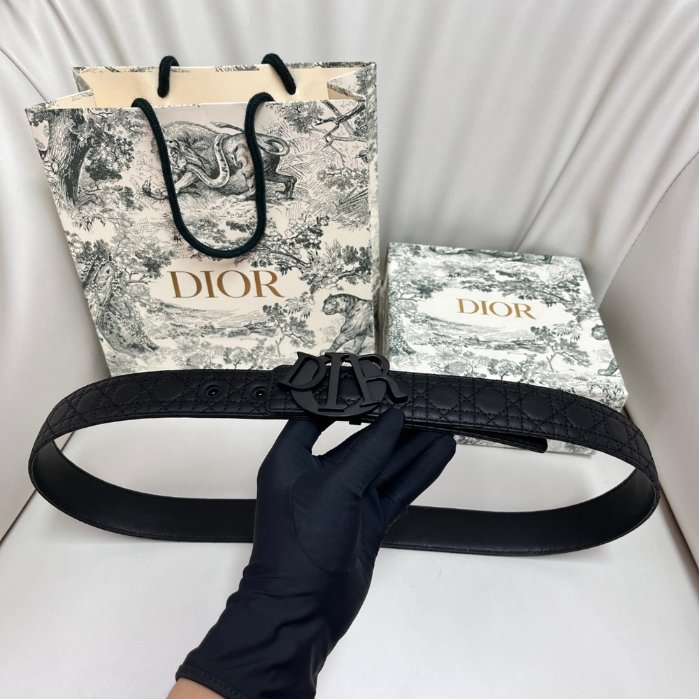 Christian Dior Reversible Belt