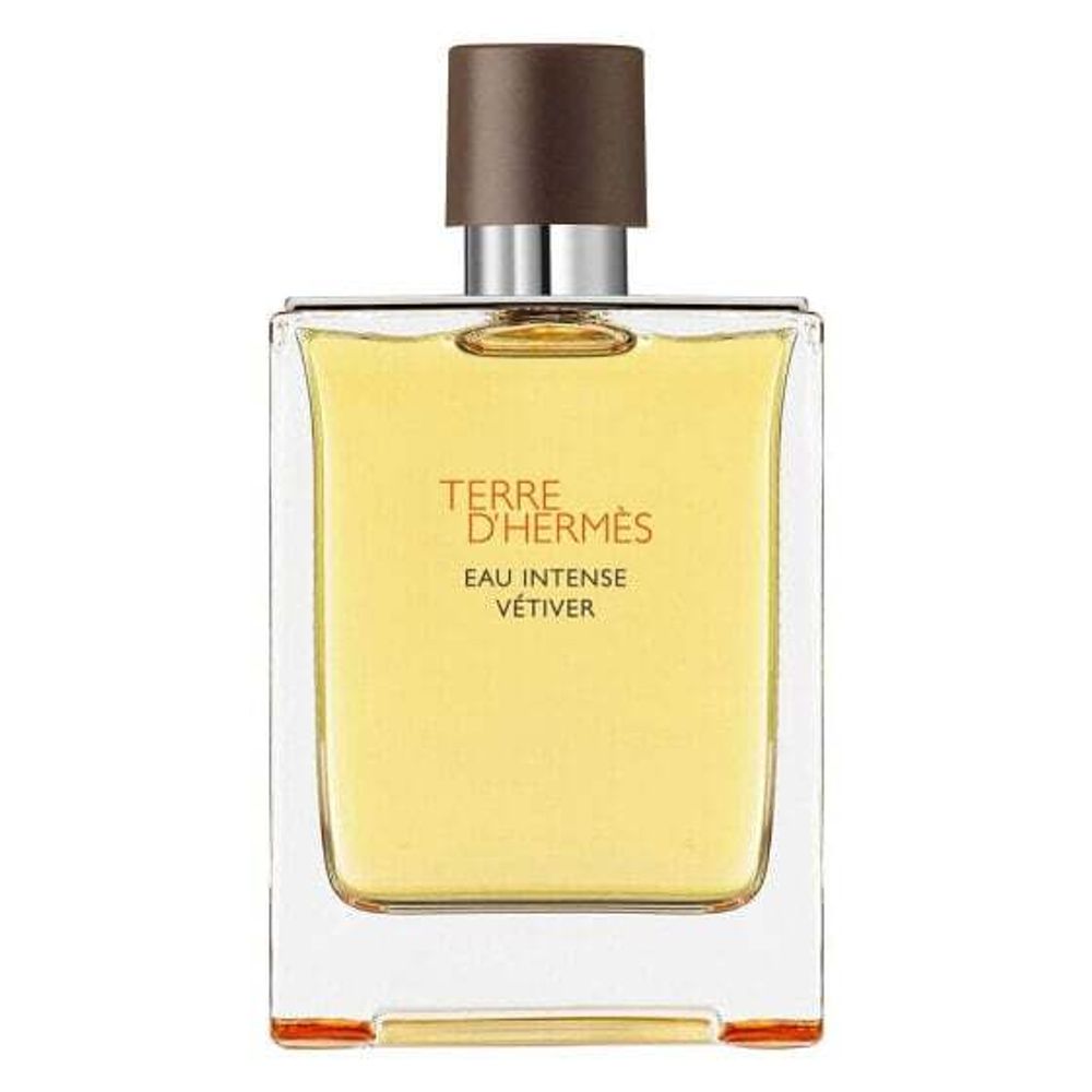 Мужская парфюмерия HERMES Terre Intense Vétiver Eau De Parfum