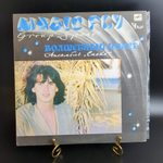 LP Ансамбль Спейс - Волшебный полет (Magic fly Group Space) - Виниловая пластинка 12 дюймов Мелодия 1983 год СССР
