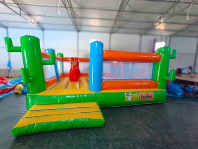 Коммерческий надувной батут «Веселый кактус», 5*4*2 м.