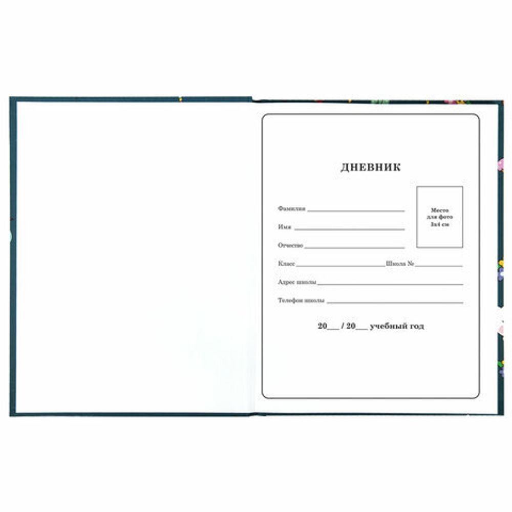 Дневник 1-4 класс 48 л., твердый, ЮНЛАНДИЯ, глянцевая ламинация, с подсказом, "Kittycorn", 106346