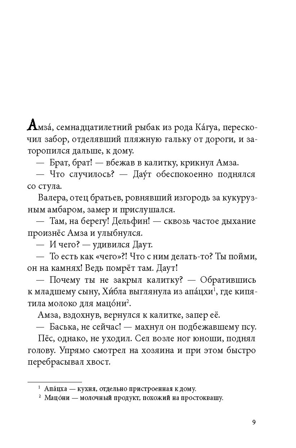 Брат мой Бзоу