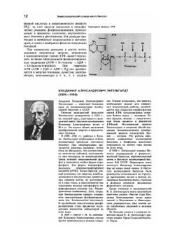 Энциклопедический словарь юного биолога | Нет автора
