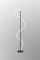 Торшер Arte Lamp Klimt A2850PN-35BK