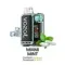 Vozol VISTA 20000 - Miami Mint (5% nic)