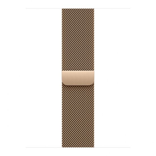 Умные часы Apple Watch Series 11 46 мм Titanium Milanese Loop