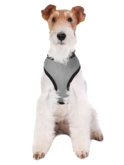Жилет шлейка для собак и кошек прогулочная