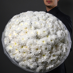 Хризантемы