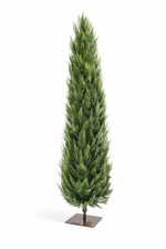 Туя искусственная Западная (Можжевельник)