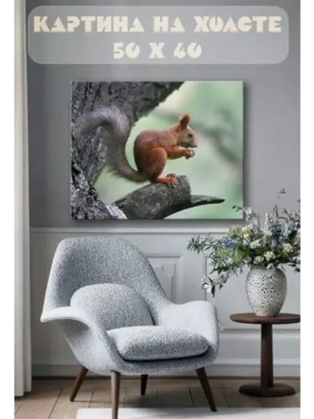 Картина на стену 40 X 50 Белка