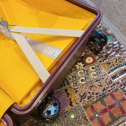 Goyard Bourget PM Trolley Case