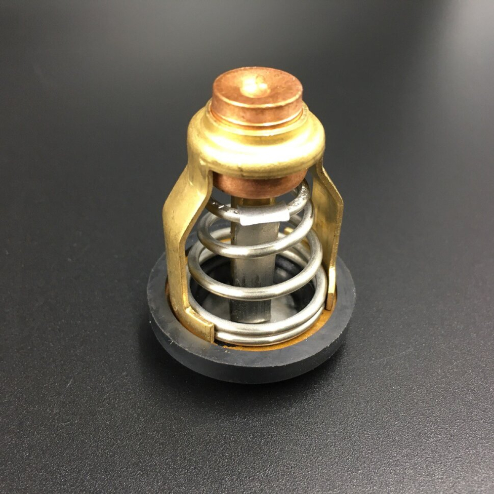 Термостат Yamaha F75-250 (Yamaha)