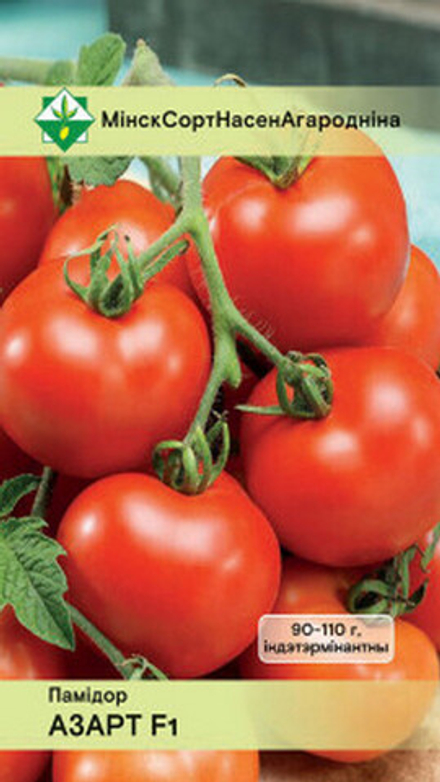Томат "Азарт F1" 15шт, Беларусь.