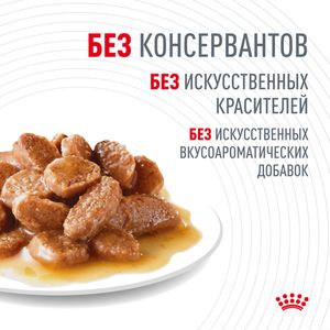 Пауч для кошек с чувствительным пищеварением, Royal Canin Digest Sensitive, в возрасте старше 1 года (в соусе)