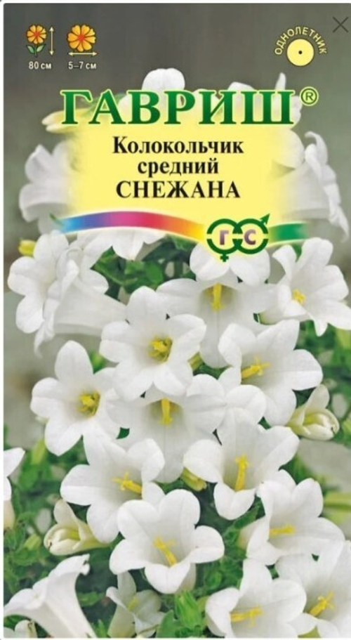 Колокольчик средний Снежана